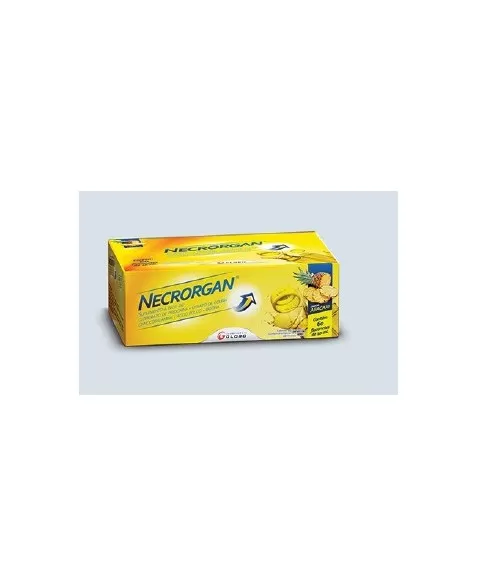 NECRORGAN 60 FLAC 10ML(EPOCLER ABACAXI)